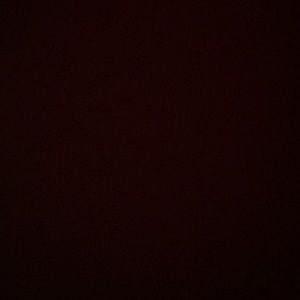 Meet your Posher, Lilly